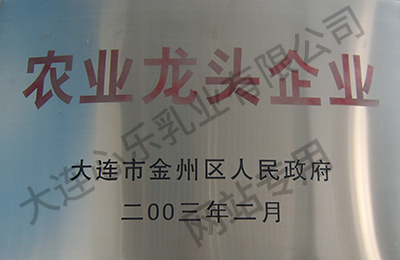 金州龙头企业
